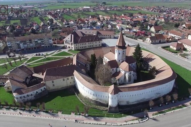 In Search of Dracula and the Teutons in Transylvania Full-Day Private Tour - Targoviste Princely Court, Vlad-family roots in a former capital