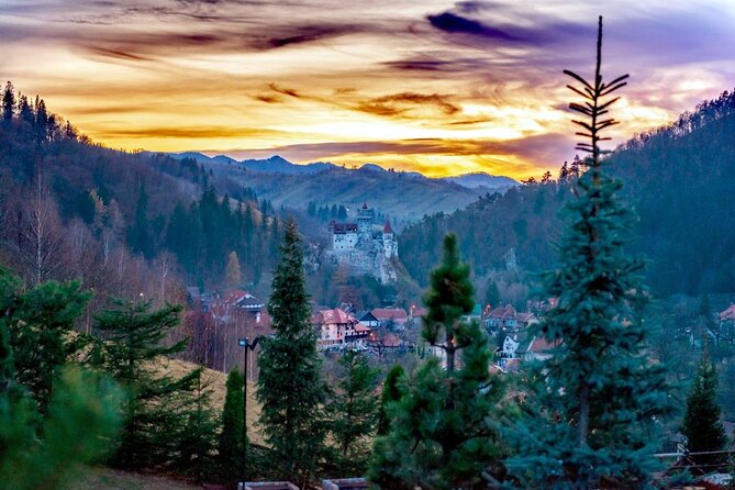 Legends&Wildlife Awaits: Dracula's Castle & Bear Sanctuary - Price and value: what you get for $224.76
