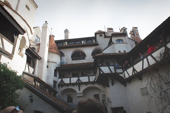 Legends&Wildlife Awaits: Dracula's Castle & Bear Sanctuary - Should you book this Dracula’s Castle and Bear Sanctuary trip?