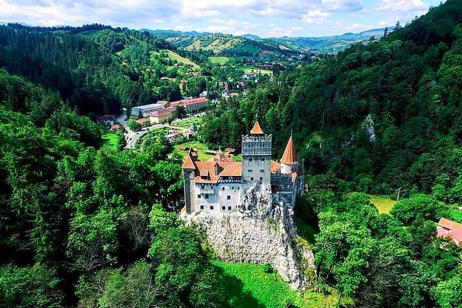 Libearty Bear Sanctuary and Dracula's Castle - Day Tour from Bucharest - Price and logistics: what your $187.05 includes, and what you must budget for