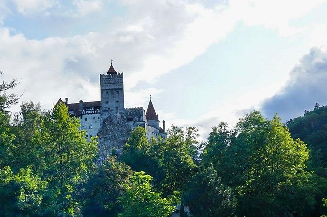 Libearty Bear Sanctuary and Dracula's Castle - Day Tour from Bucharest - Who should book this tour, and who should rethink it