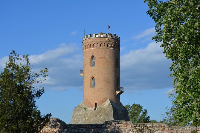 LiBEARty Brown Bear Sanctuary and The Real Dracula Tour - Targoviște Princely Court: Vlad Tepes, June 1462, and Chindia Tower