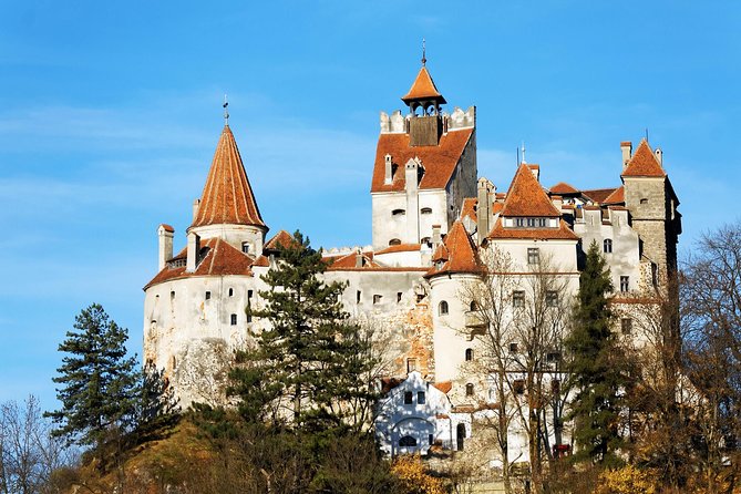 LiBEARty Brown Bear Sanctuary and The Real Dracula Tour - An Early Start, Mountain Roads, and a Packed 11 Hours