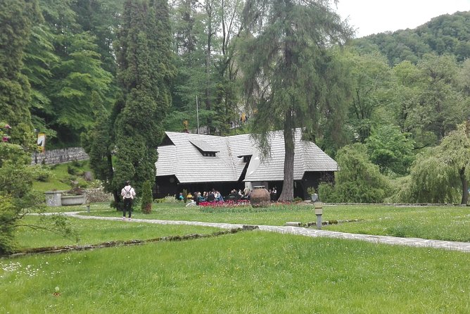 LiBEARty - the Brown Bear Sanctuary from Zarnesti - Bran Castle: Dracula’s legend, Queen Maria, and what 2 hours gives you