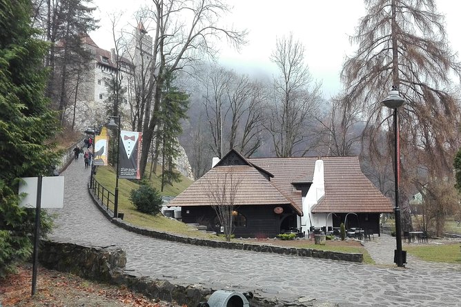 LiBEARty - the Brown Bear Sanctuary from Zarnesti - Brasov historical center: Black Church, Rope Street, and the tower views
