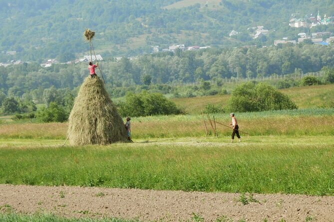 Maramures Day Tour (trip start in Bucovina, end in Sighetu M.) - Vadu Izei in the Iza Valley, water-powered machines and Palinca context
