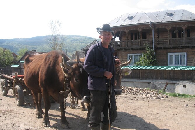 Maramures Day Tour (trip start in Bucovina, end in Sighetu M.) - Sapânța’s Merry Cemetery, the poetic tombstones you can’t forget