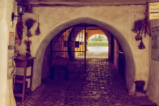 Medieval Transylvania Full-Day Private Tour from Brasov - Stop 3 at Rasnov Citadel: hilltop views and houses inside the walls