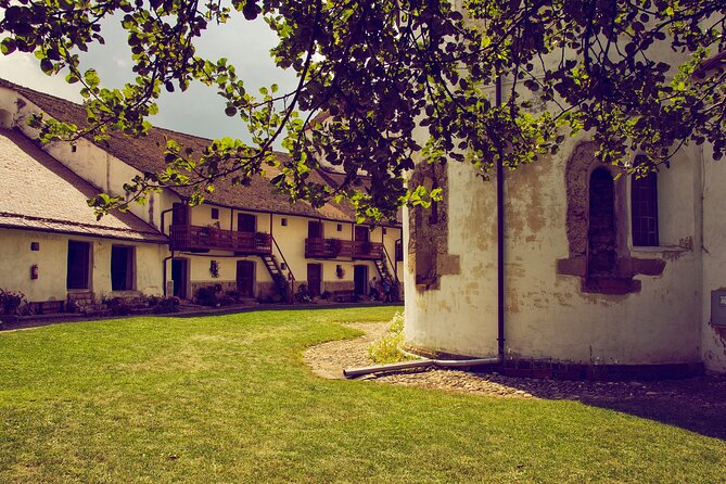 Medieval Transylvania Full-Day Private Tour from Brasov - Transportation, private guide, and skip-the-lines: what you’re paying for