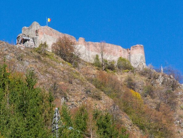Meet Wild Brown Bears on the Roads to Real Dracula's Fortress - Key highlights at a glance