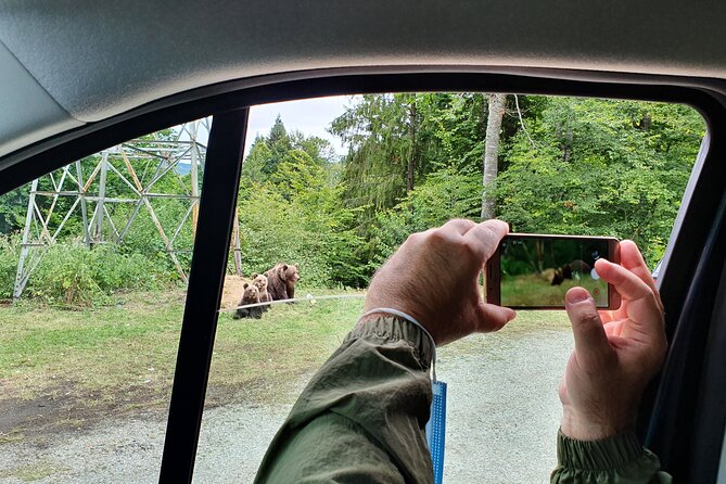 Meet Wild Brown Bears on the Roads to Real Dracula's Fortress - Price and value: why $297.68 can make sense