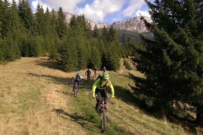 Mountain Bike Day Tour around Brasov - Bike Setup Details: Hardtail by Default, Suspension Options If Offered