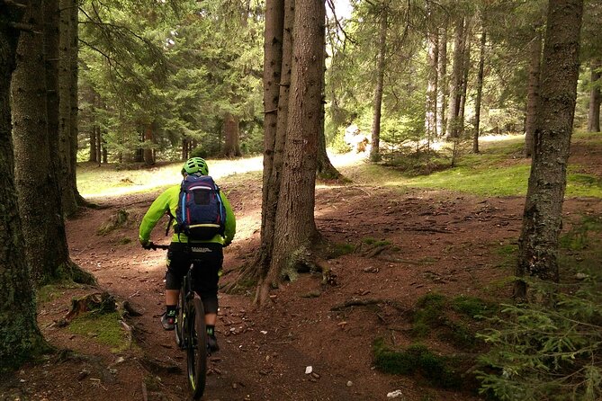 Mountain Bike Day Tour around Brasov - Weather and Trail Conditions: Dress for Mud and Cool Air
