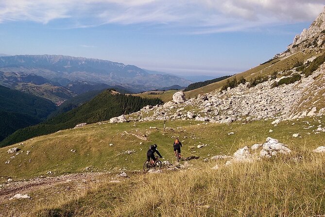 Mountain Bike Day Tour around Brasov - What You’ll Actually Ride: Forest Roads, Castle Country, and Trails