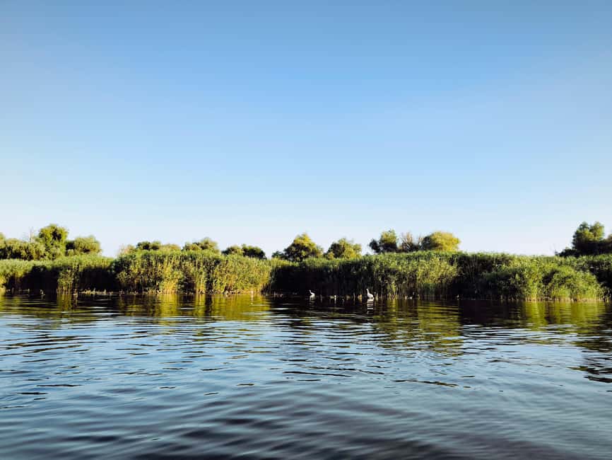 Murighiol: Danube Delta Guided Boat Tour - Where you start, and why the meeting point matters