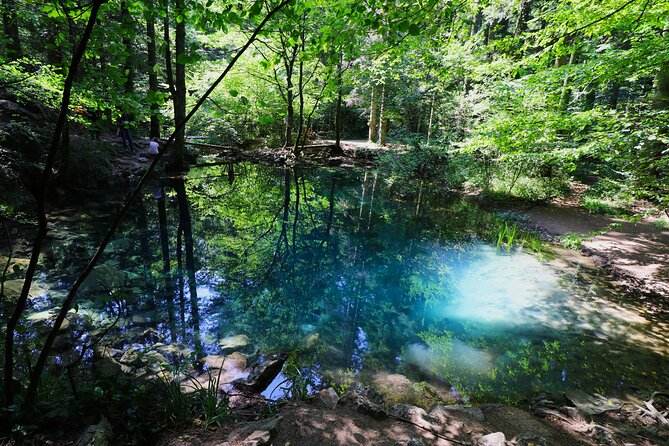 Nera Gorge National Park - Private Day Tour from Timisoara - Key highlights worth your attention