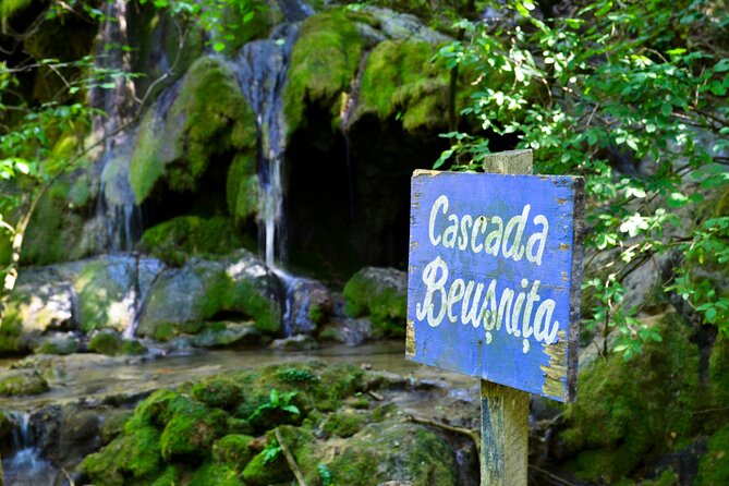 Nera Gorge National Park - Private Day Tour from Timisoara - Cheile Nerei tunnels: the gorge’s first wow moment