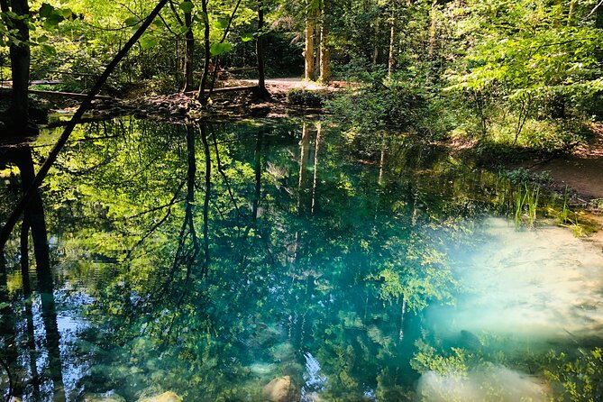 Nera Gorge National Park - Private Day Tour from Timisoara - Beușnița Waterfall: the seasonal reality check