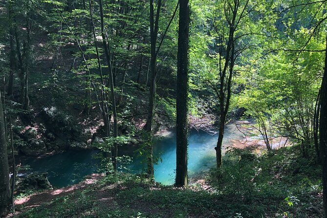 Nera Gorge National Park - Private Day Tour from Timisoara - Private tour value: price, what you get, and what to plan for