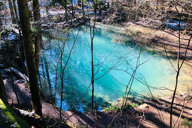 Nera Gorge National Park - Private Day Tour from Timisoara - What kind of traveler will enjoy this most?