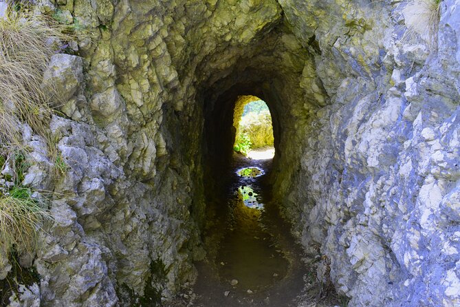 Nera Gorge National Park - Private Day Tour from Timisoara - La Vaioaga waterfall: short walk, real power