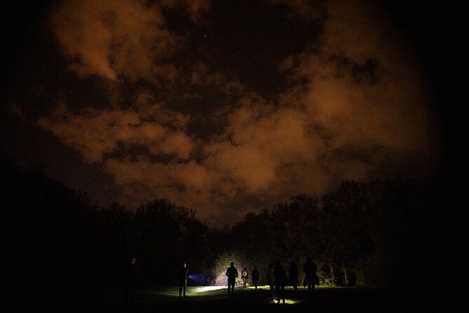 Night Tour in Hoia Baciu Forest - Getting There: Pickup, Meeting Point, and Best Timing