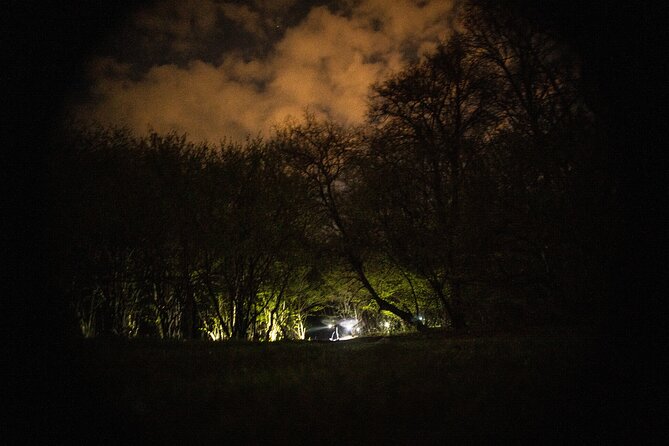 Night Tour in Hoia Baciu Forest - Stop 1: Hoia Baciu Forest and the Walk to Poiana Rotunda