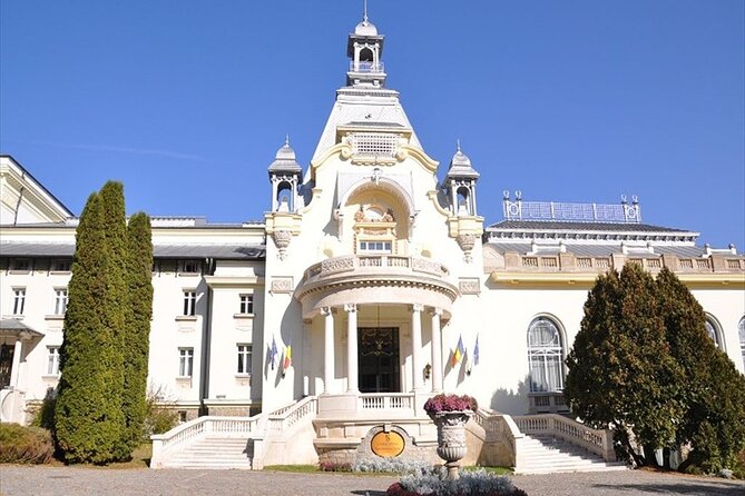 One Day Private Tour to Peles and Dracula Castles & Brasov City - Traffic strategy: how to avoid the worst-case day