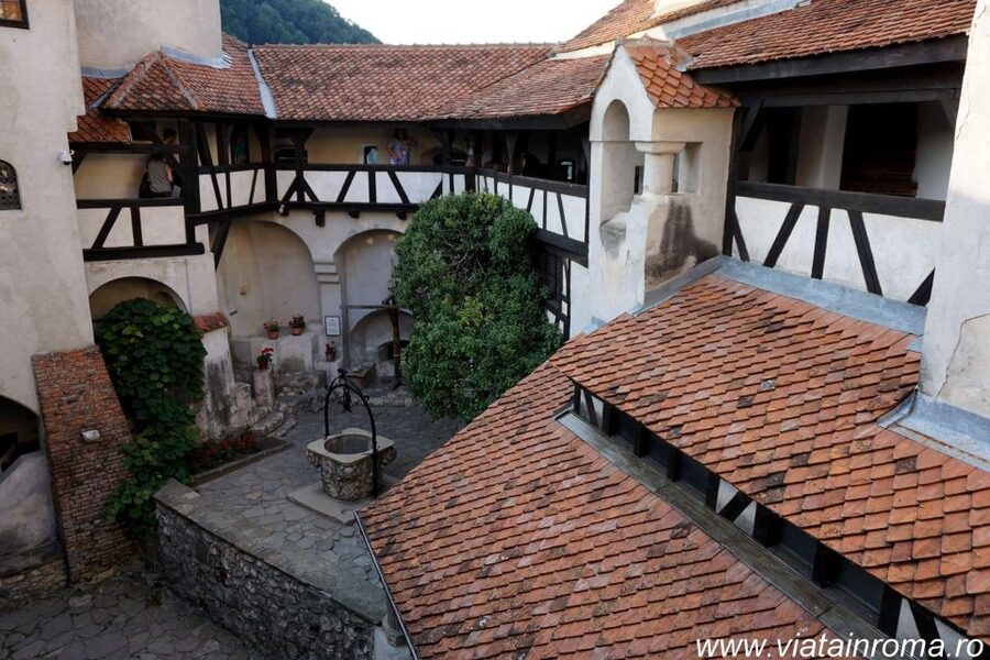 One day trip Bear Sanctuary, Dracula Castle - Who this day trip suits best (and who should rethink it)