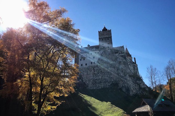 One day trip Bear Sanctuary, Dracula Castle, Rasnov Fortress from Brasov - Price and logistics: where the real value is