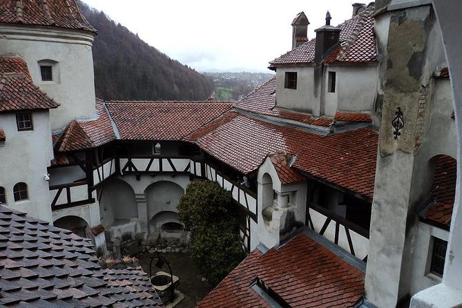 One day trip Bear Sanctuary, Dracula Castle, Rasnov Fortress from Brasov - Who should book this Brasov day trip