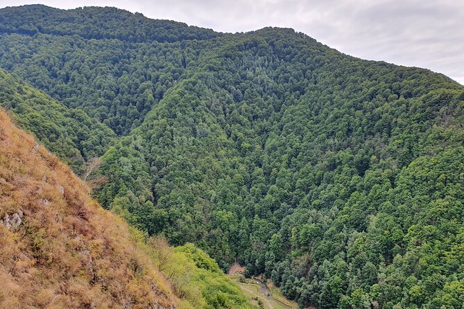 One-Day Vlad the Impaler Royal Court Private Tour from Bucharest - Stop 4, Poenari Castle, Dracula stairs and what to expect
