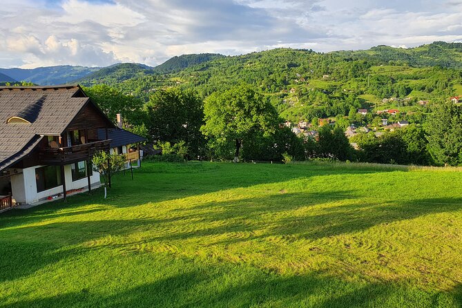 One-Day Vlad the Impaler Royal Court Private Tour from Bucharest - The return drive from the mountains back to Bucharest
