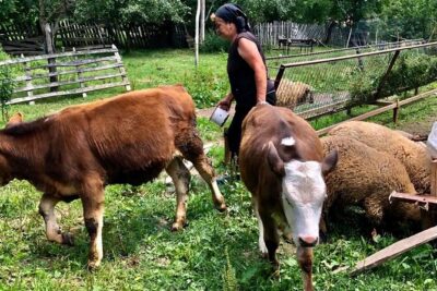 Original Carpathian Village Experience and Sinaia in one day tour