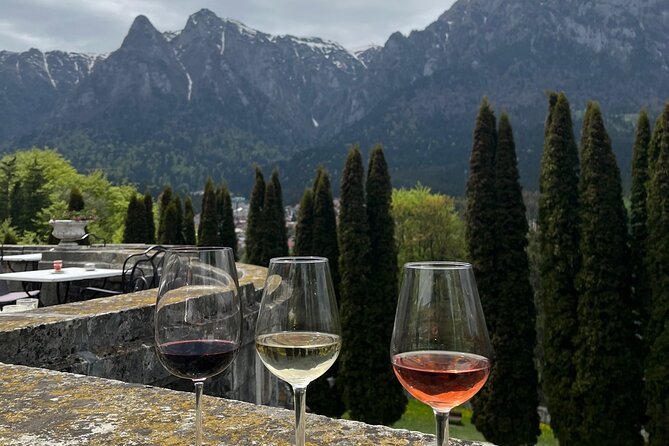 Peles & Cantacuzino Castles: Gourmet Wine & Cultural Day trip - What to watch for before you go, including pacing and walking comfort