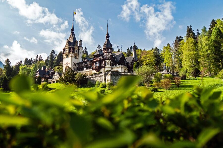 Peles & Cantacuzino Castles: Gourmet Wine & Cultural trip - Key things I’d plan around before you go