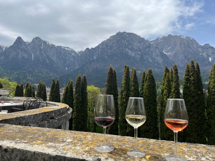 Peles & Cantacuzino Castles: Gourmet Wine & Cultural trip - Romanian Cuisine Along the Way: What to Expect From the Food Portion