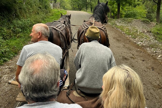 Peles castle and authentic Romanian village experience - day trip - Royal Sights, Countryside Life, and the Early Start