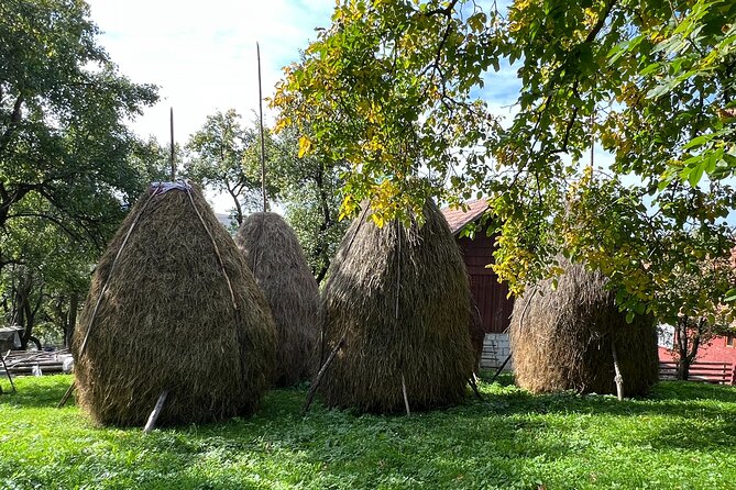 Peles castle and authentic Romanian village experience - day trip - Secăria Village: Lunch With Locals and a Cart Ride to 1,000 Meters