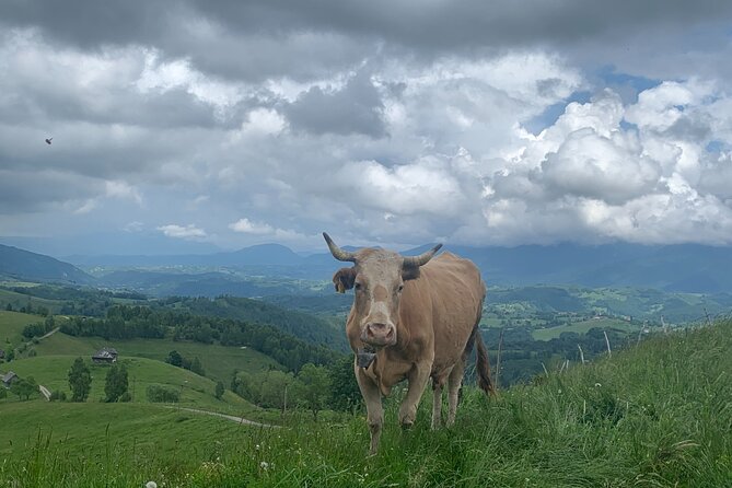 Peles castle and authentic Romanian village experience - day trip - Who This Day Trip Suits (and Who Should Adjust Expectations)