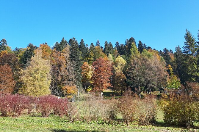 Peles Castle and optional Cantacuzino Castle from Brasov - Private guide value: why the human touch matters