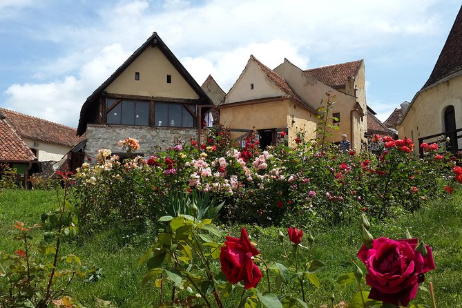 Peles Castle, Bran Castle, Rasnov Fortress and Sinaia Monastery Tour from Brasov - A Small-Group Castles Circuit from Brasov