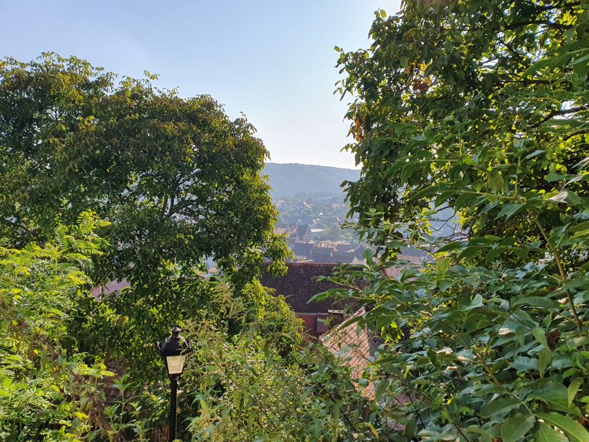 Peleș Castle, Bran Castles and Brasov City - Private Tour - FAQ