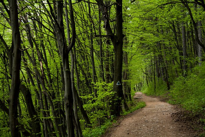 Perfect bike tour around Brasov - Key highlights you’ll feel fast