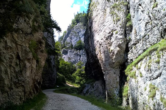 Perfect bike tour around Brasov - Cristian’s Traditional Food Stop, What It Costs and How to Prepare