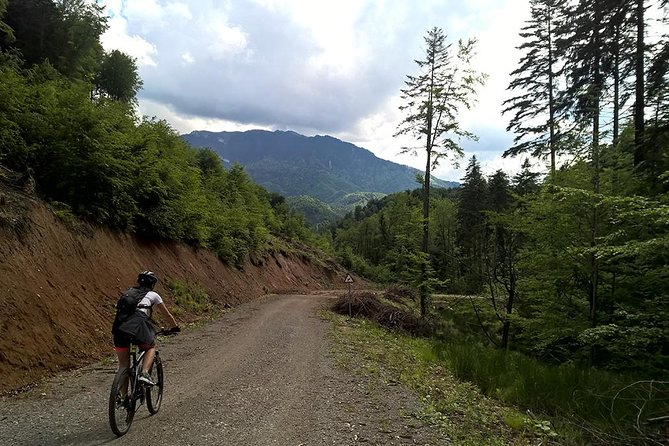 Perfect bike tour around Brasov - Who This Tour Suits Best (and Who Might Not Love It)