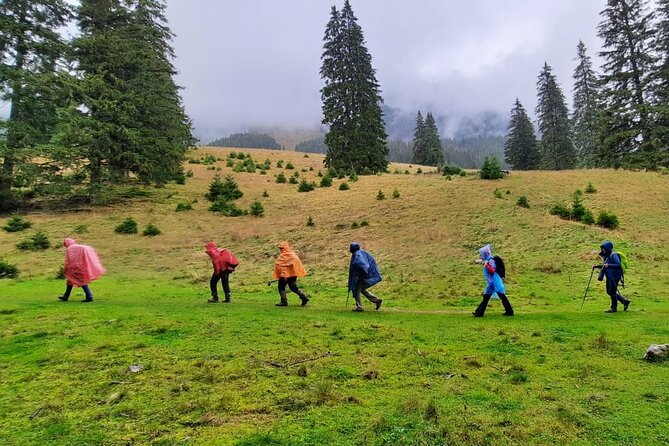 Pestera and Magura Full-Day Private Walking Tour from Brasov - Key Highlights Worth Getting Excited About