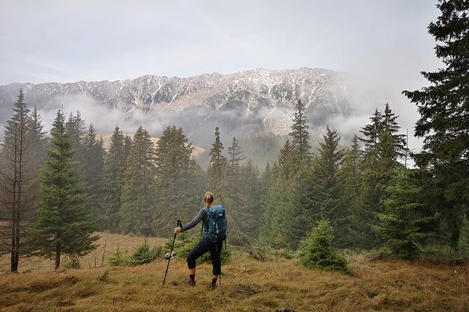 Pestera and Magura Full-Day Private Walking Tour from Brasov - Stop 2: Magura Views and Local Stories