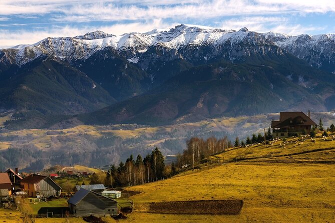 Pestera and Magura Full-Day Private Walking Tour from Brasov - Trail Conditions, Fitness Level, and What to Pack