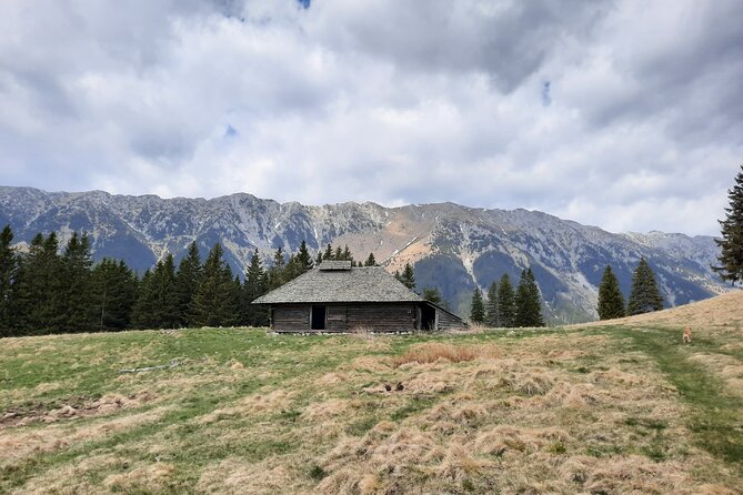 Pestera and Magura Full-Day Private Walking Tour from Brasov - Timing, Weather, and Common Mistakes I’d Avoid